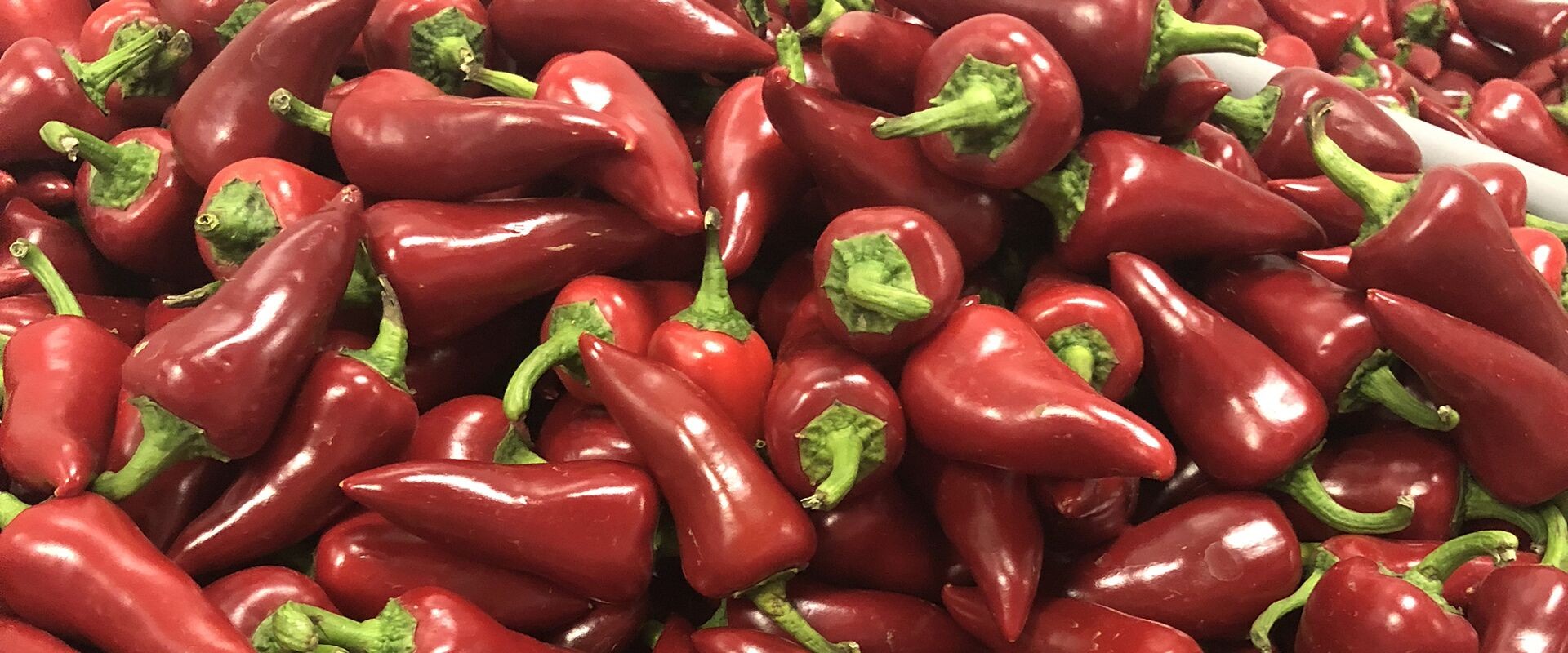Market Bst88h7t En